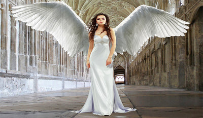 ANGEL Fashion Dress